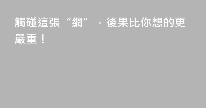 觸碰這張“網”，後果比你想的更嚴重！