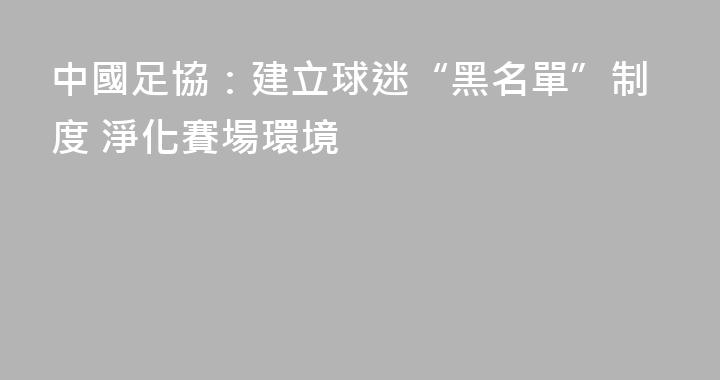 中國足協：建立球迷“黑名單”制度 淨化賽場環境