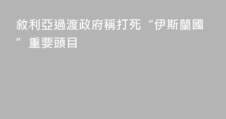 敘利亞過渡政府稱打死“伊斯蘭國”重要頭目