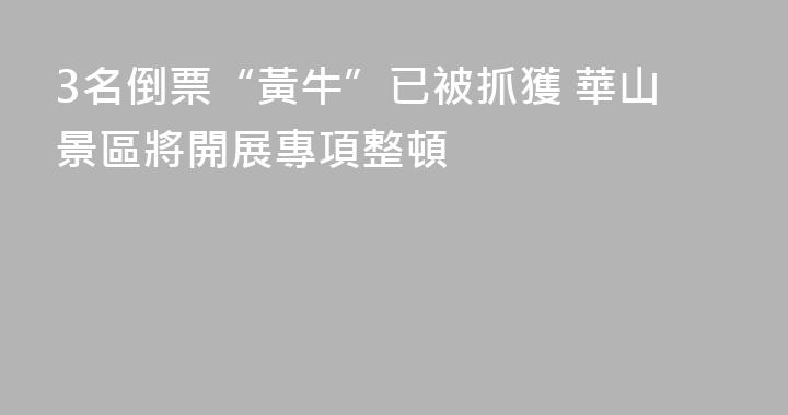 3名倒票“黃牛”已被抓獲 華山景區將開展專項整頓