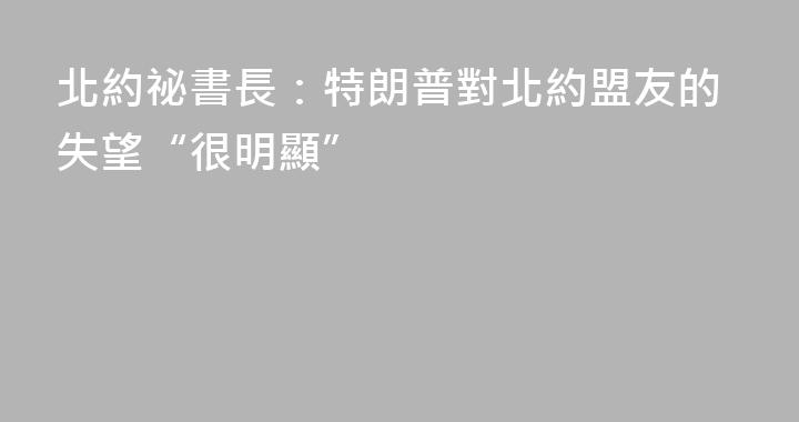 北約祕書長：特朗普對北約盟友的失望“很明顯”