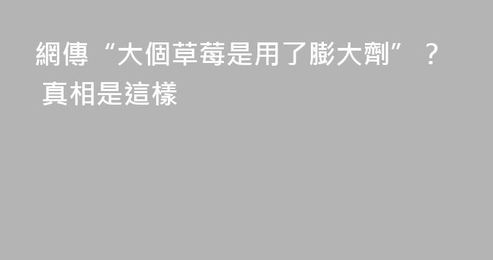 網傳“大個草莓是用了膨大劑”？ 真相是這樣