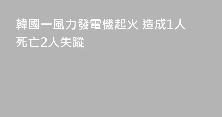 韓國一風力發電機起火 造成1人死亡2人失蹤