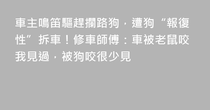 車主鳴笛驅趕攔路狗，遭狗“報復性”拆車！修車師傅：車被老鼠咬我見過，被狗咬很少見