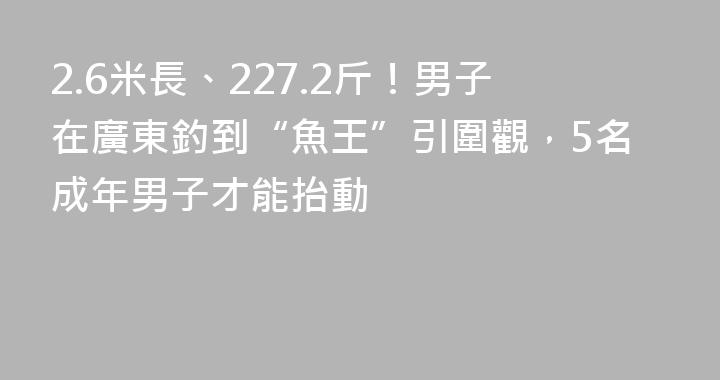 2.6米長、227.2斤！男子在廣東釣到“魚王”引圍觀，5名成年男子才能抬動