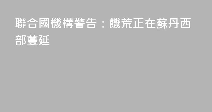 聯合國機構警告：饑荒正在蘇丹西部蔓延