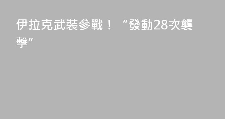 伊拉克武裝參戰！“發動28次襲擊”