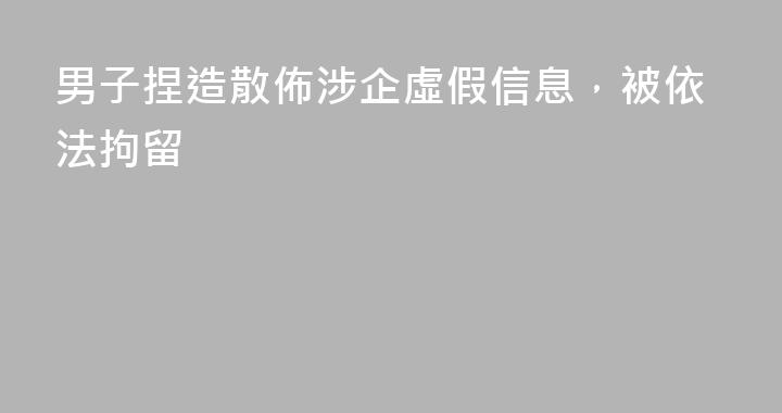男子捏造散佈涉企虛假信息，被依法拘留