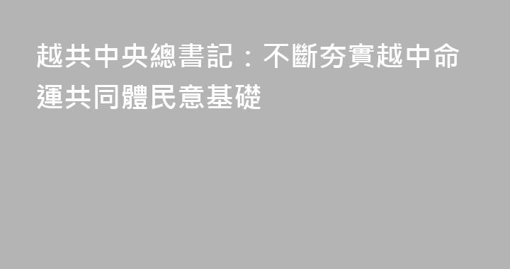 越共中央總書記：不斷夯實越中命運共同體民意基礎