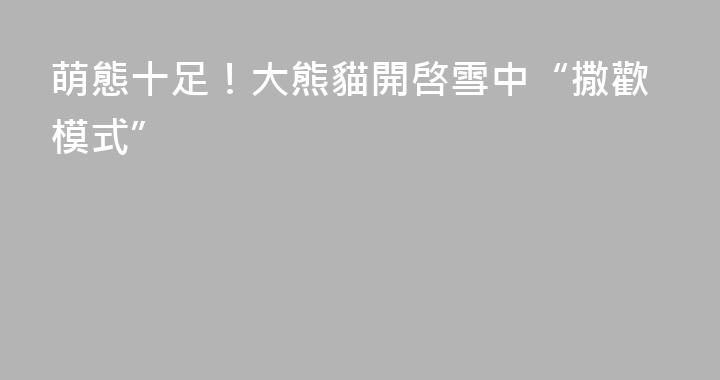 萌態十足！大熊貓開啓雪中“撒歡模式”