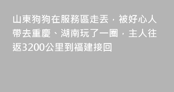 山東狗狗在服務區走丟，被好心人帶去重慶、湖南玩了一圈，主人往返3200公里到福建接回