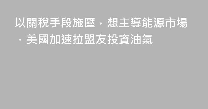 以關稅手段施壓，想主導能源市場，美國加速拉盟友投資油氣