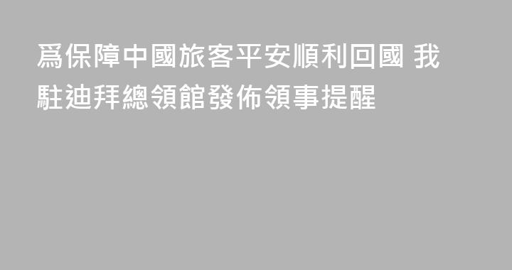 爲保障中國旅客平安順利回國 我駐迪拜總領館發佈領事提醒