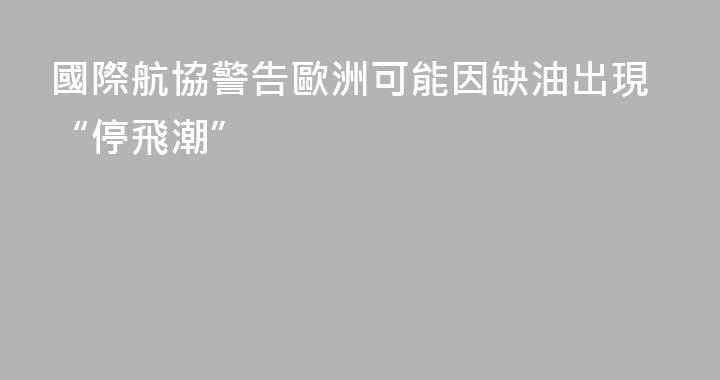 國際航協警告歐洲可能因缺油出現“停飛潮”