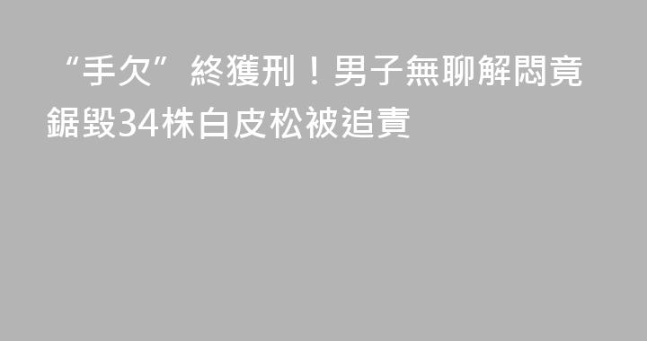 “手欠”終獲刑！男子無聊解悶竟鋸毀34株白皮松被追責