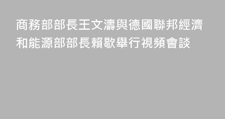 商務部部長王文濤與德國聯邦經濟和能源部部長賴歇舉行視頻會談