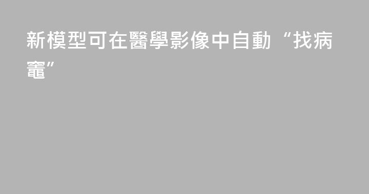 新模型可在醫學影像中自動“找病竈”
