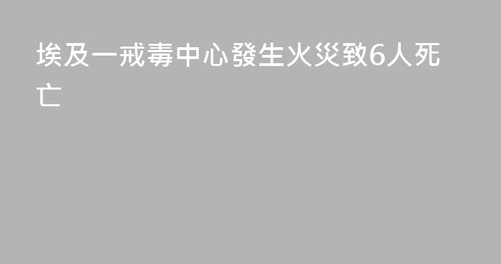 埃及一戒毒中心發生火災致6人死亡