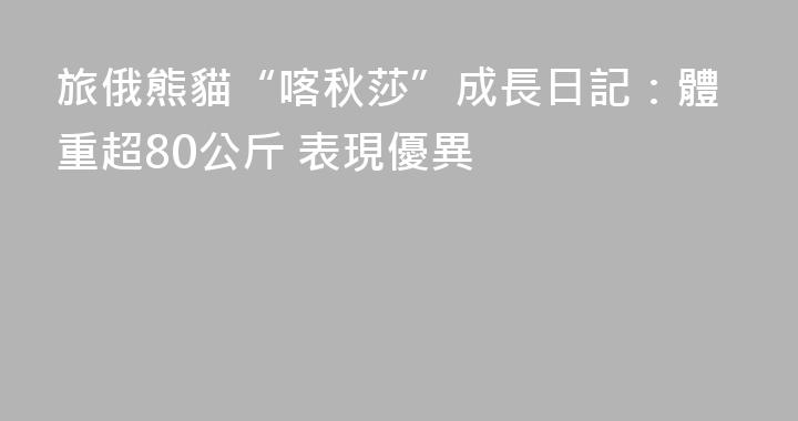 旅俄熊貓“喀秋莎”成長日記：體重超80公斤 表現優異