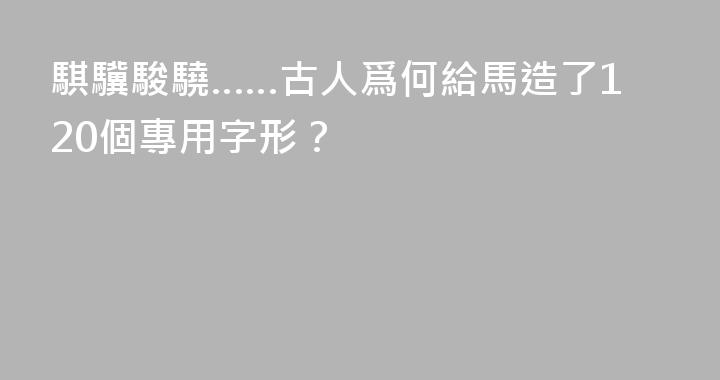 騏驥駿驍……古人爲何給馬造了120個專用字形？