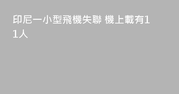印尼一小型飛機失聯 機上載有11人
