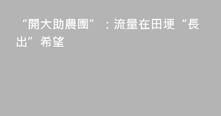 “開大助農團”：流量在田埂“長出”希望