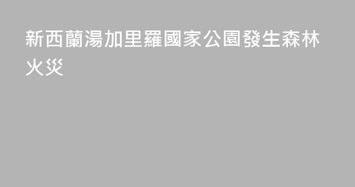 新西蘭湯加里羅國家公園發生森林火災