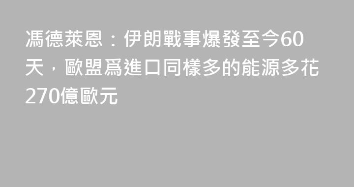馮德萊恩：伊朗戰事爆發至今60天，歐盟爲進口同樣多的能源多花270億歐元