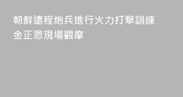 朝鮮遠程炮兵進行火力打擊訓練 金正恩現場觀摩