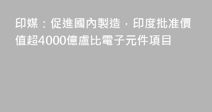 印媒：促進國內製造，印度批准價值超4000億盧比電子元件項目