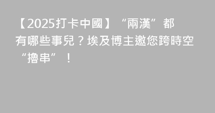 【2025打卡中國】“兩漢”都有哪些事兒？埃及博主邀您跨時空“擼串”！