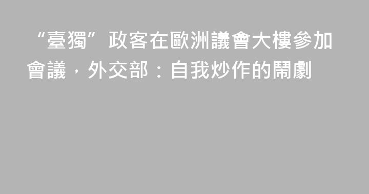 “臺獨”政客在歐洲議會大樓參加會議，外交部：自我炒作的鬧劇