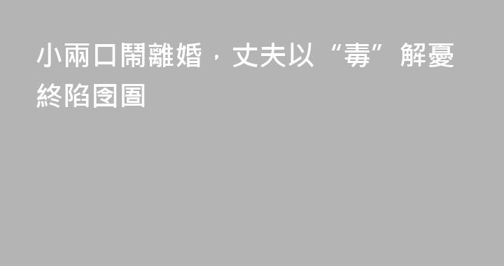 小兩口鬧離婚，丈夫以“毒”解憂終陷囹圄