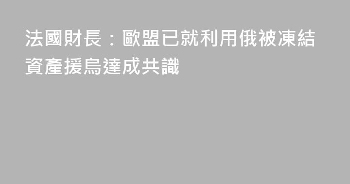 法國財長：歐盟已就利用俄被凍結資產援烏達成共識