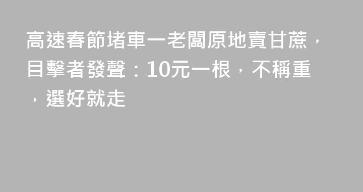 高速春節堵車一老闆原地賣甘蔗，目擊者發聲：10元一根，不稱重，選好就走