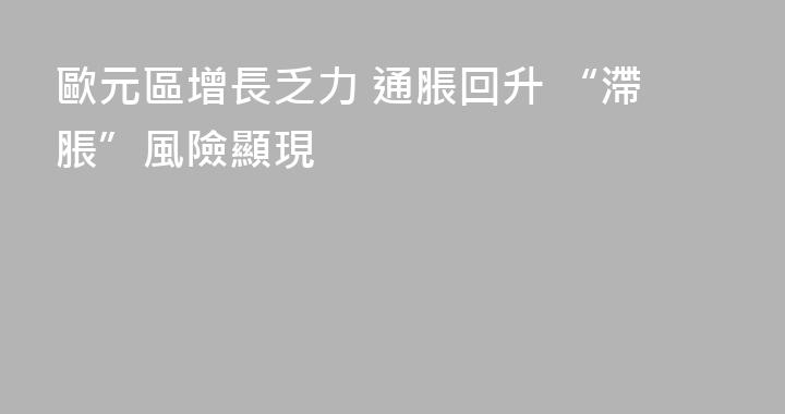 歐元區增長乏力 通脹回升 “滯脹”風險顯現
