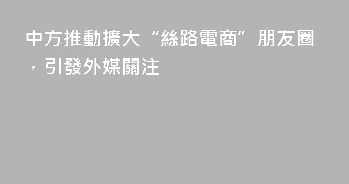 中方推動擴大“絲路電商”朋友圈，引發外媒關注