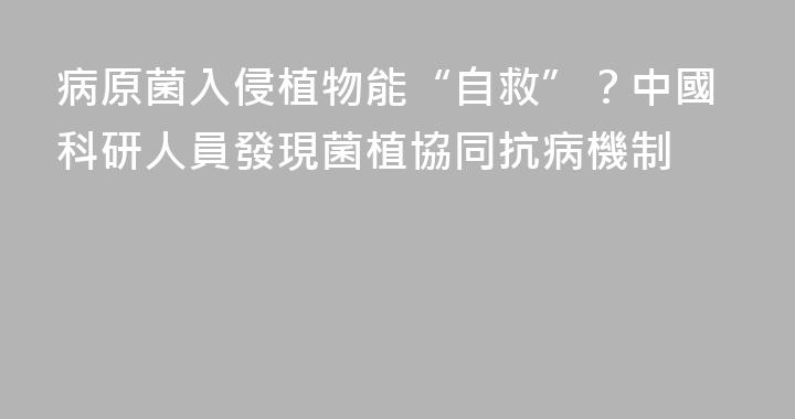 病原菌入侵植物能“自救”？中國科研人員發現菌植協同抗病機制