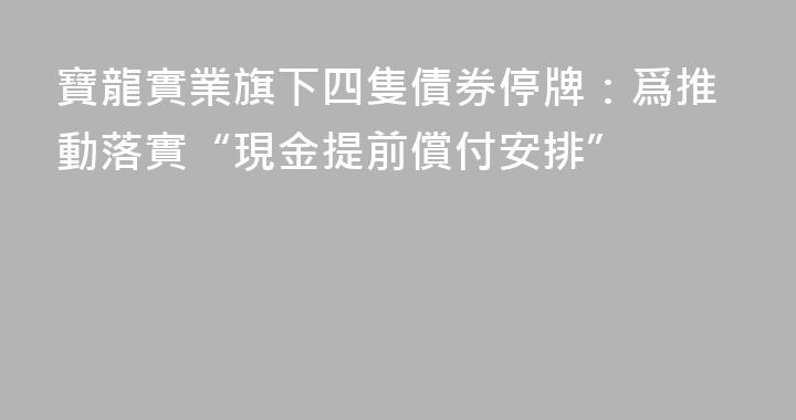 寶龍實業旗下四隻債券停牌：爲推動落實“現金提前償付安排”