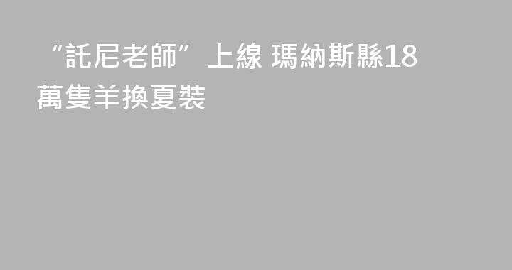 “託尼老師”上線 瑪納斯縣18萬隻羊換夏裝