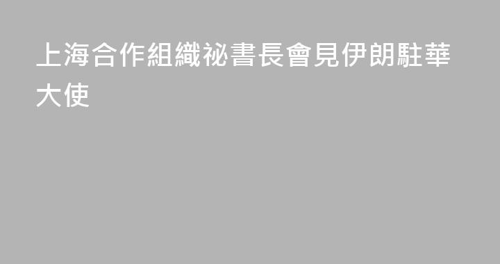上海合作組織祕書長會見伊朗駐華大使