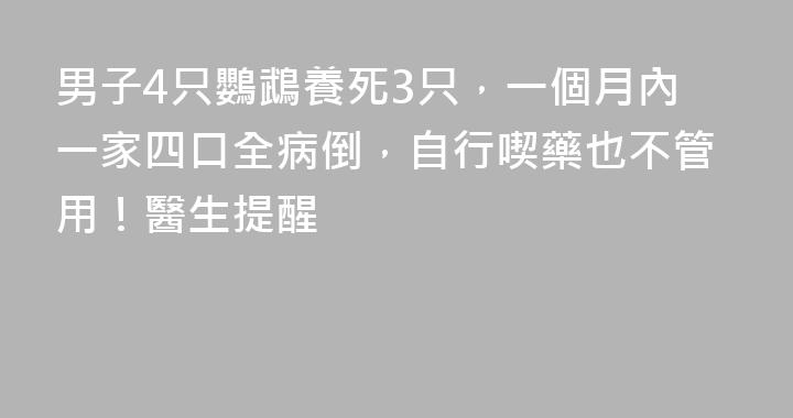 男子4只鸚鵡養死3只，一個月內一家四口全病倒，自行喫藥也不管用！醫生提醒