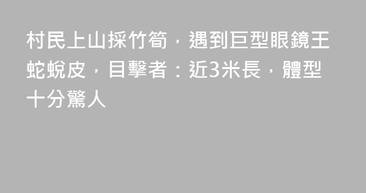 村民上山採竹筍，遇到巨型眼鏡王蛇蛻皮，目擊者：近3米長，體型十分驚人