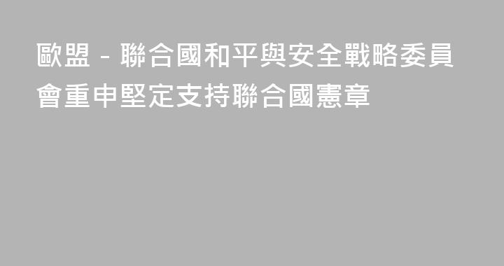 歐盟－聯合國和平與安全戰略委員會重申堅定支持聯合國憲章