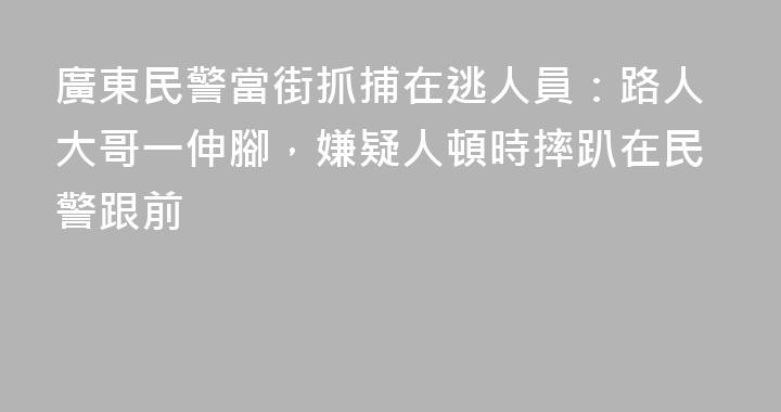 廣東民警當街抓捕在逃人員：路人大哥一伸腳，嫌疑人頓時摔趴在民警跟前