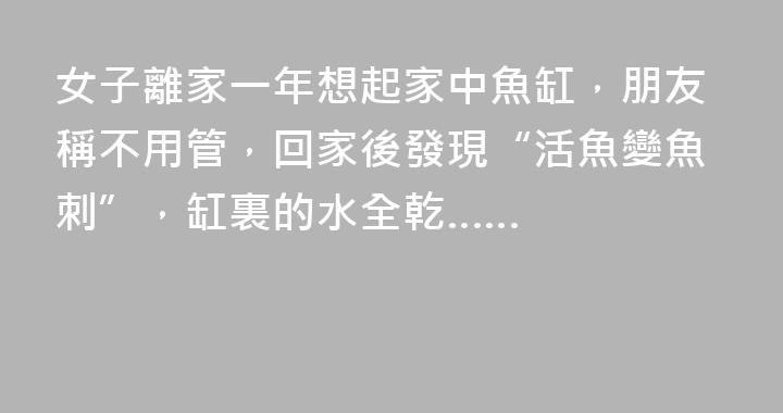 女子離家一年想起家中魚缸，朋友稱不用管，回家後發現“活魚變魚刺”，缸裏的水全乾……