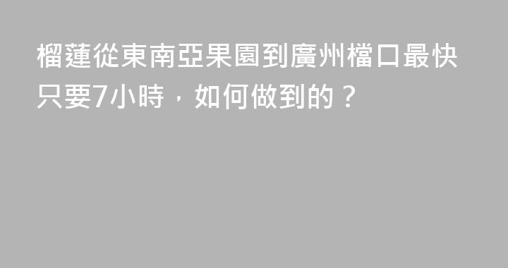 榴蓮從東南亞果園到廣州檔口最快只要7小時，如何做到的？