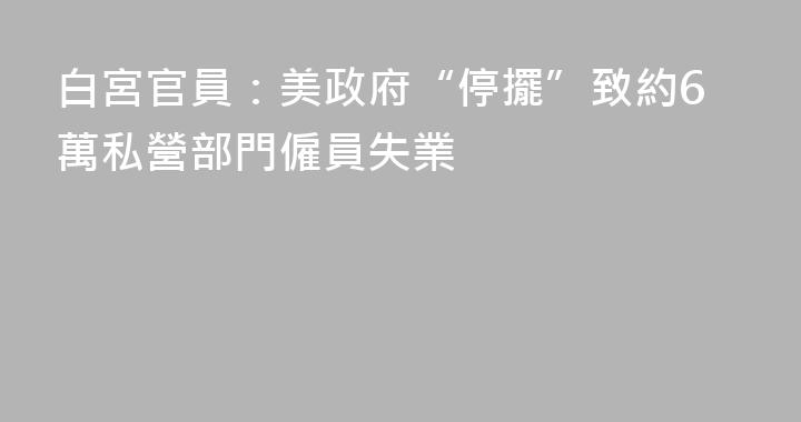 白宮官員：美政府“停擺”致約6萬私營部門僱員失業