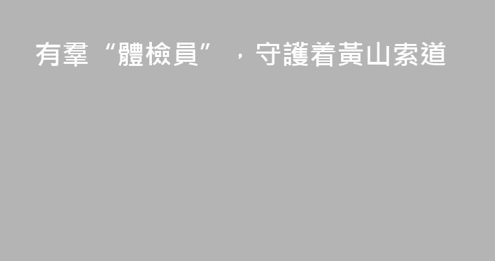 有羣“體檢員”，守護着黃山索道