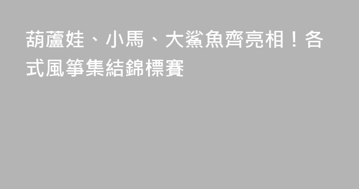 葫蘆娃、小馬、大鯊魚齊亮相！各式風箏集結錦標賽